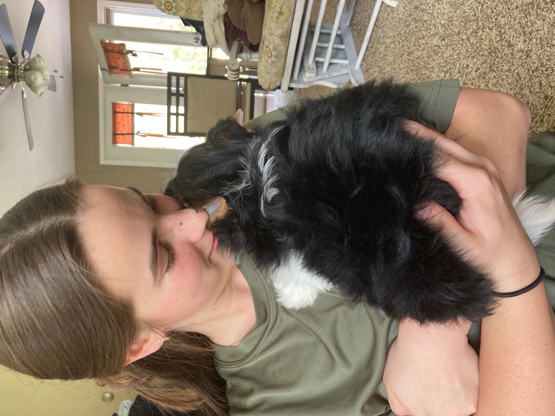 Cuddling a puppy outdoors