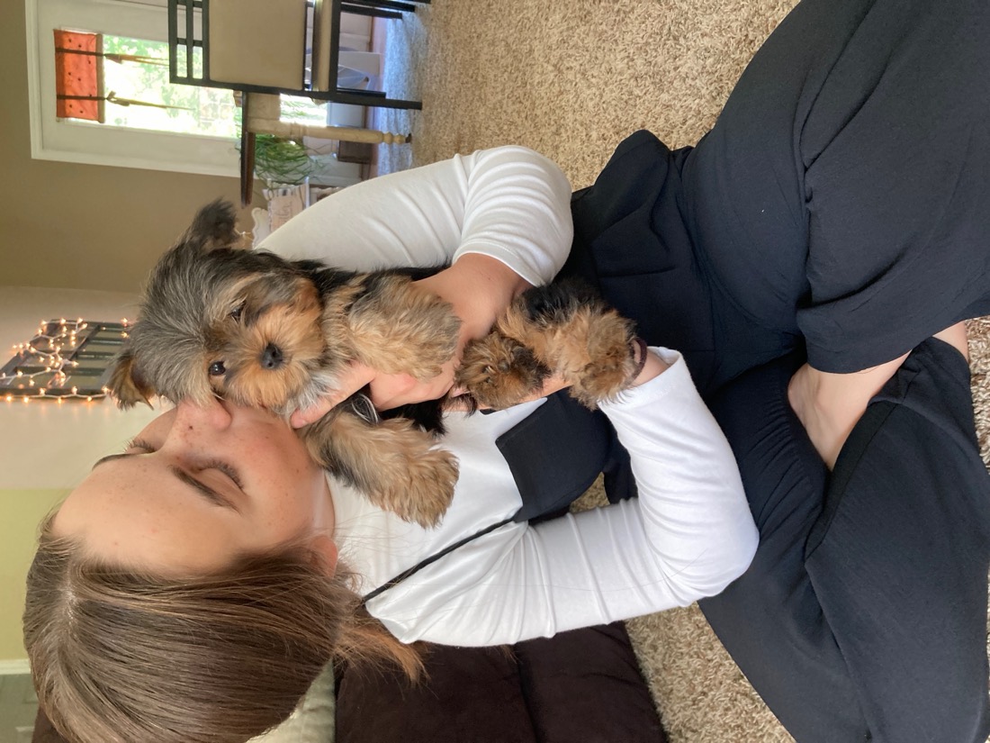 A family member and their new puppy